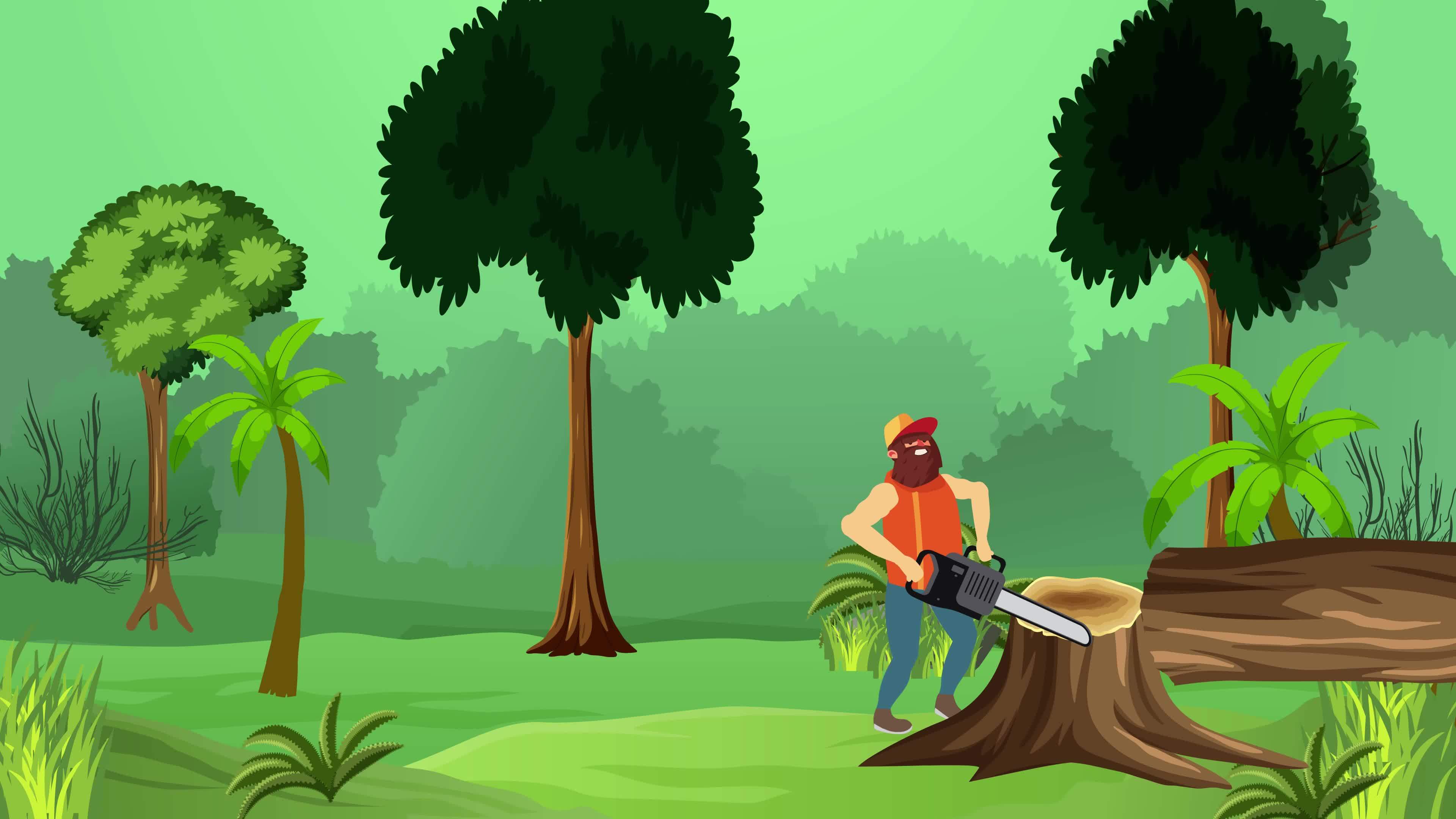 Jungle Animation Stock Video Footage for Free Download