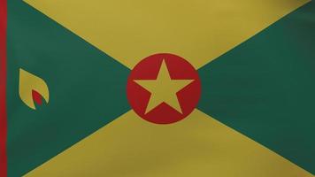 Grenada flag texture photo