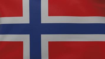 Norway flag texture photo