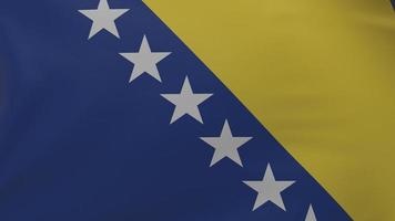 Bosnia and Herzegovina flag texture photo