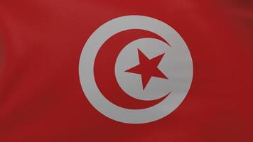 Tunisia flag texture photo