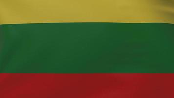 lithuania flag texture photo