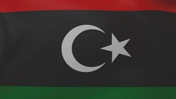 libya flag texture photo