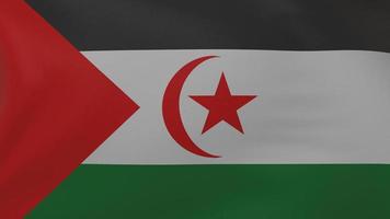 Sahrawi Arab Democratic Republic flag texture photo