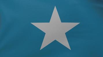 Somalia flag texture photo