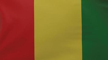 Guinea flag texture photo