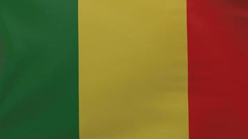 Mali flag texture photo