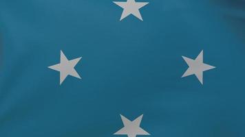 Micronesia flag texture photo