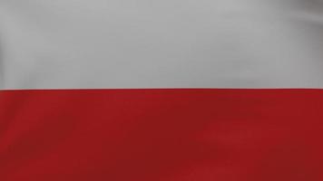 textura de la bandera de polonia foto