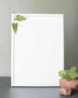 White frame with copy space and natural eco decor, stone and green plants. Organic and minimal design concept. vertical size, summer advertisment and sale. photo