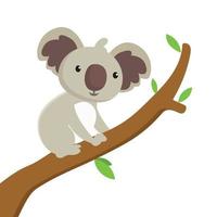 personaje animal del árbol trepador de koala. ilustración vectorial vector
