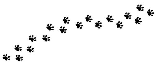 Paw vector foot print cat, dog footprint. Animal silhouette diagonal tracks for t-shirts, backgrounds, patterns, websites, showcase designs, greeting cards, kids prints, etc.