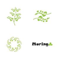 diseño de vector de ilustración de logotipo de hoja de moringa