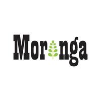 diseño de vector de ilustración de logotipo de hoja de moringa