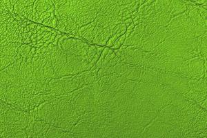 green leather texture background photo