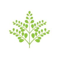 diseño de vector de ilustración de logotipo de hoja de moringa