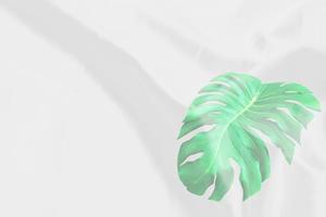 green monstera leaves pattern overlay with white fabric texture soft blur background photo