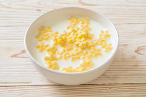 cereals with fresh milk photo