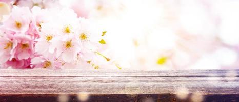 Beautiful branch of blossoming tree in spring. photo