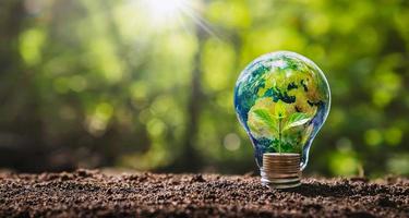 globo en bombilla con pequeño árbol que crece en el dinero. concepto de energía empresarial en la naturaleza en el mundo. elementos de esta imagen proporcionada por la nasa. foto