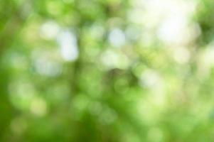 abstract blur green nature background photo