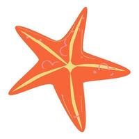 Starfish in a naive style vector