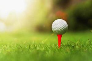 pelota de golf sobre hierba verde con amanecer foto
