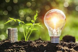 bombilla con árbol pequeño y pila de dinero en el suelo en el fondo de la puesta de sol de la naturaleza. concepto de ahorro de energia foto