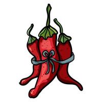 Bundle with red hot chili pepper vector