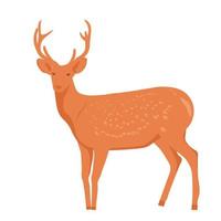 Spotted deer with horns. Vector stock illustration. Mammalian animals. Isolated on a white background.