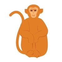 Macaques vector stock illustration. The monkey is sitting. Animal. Isolated on a white background.