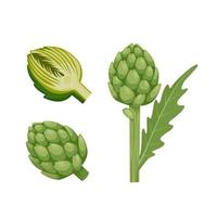 ilustración vectorial de alcachofa de globo o capullo de flor de cardo verde de cynara cardunculus. aislado sobre fondo blanco. vegetales verdes saludables. vector