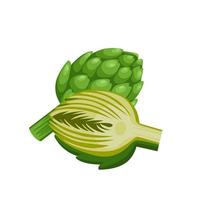 Vector illustration of Globe artichoke or green thistle Flower bud of cynara cardunculus. isolated on white background. healthy green vegetables. Fresh French artichoke heads.
