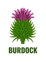 Vector illustration, flat style Burdock flower, isolated on a white background, suitable for labels, medical herbal products and cosmetics.