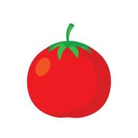 Tomato isolated single simple cartoon illustration vector