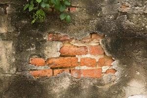 ancient cement walls of the past are old prison walls made of red brick with cracks, patterns, specks, and dirt covered with leaves as time passes from the past to the present. photo