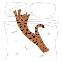 Bengal cat stretched out on the bed vector