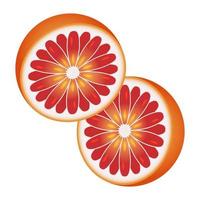 slice of pomelo or grapefruit for apps and websites vector