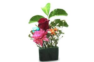 Red roses-pink chrysanthemums and small flowers arranged beautifully on important days and festivals. on a white background photo