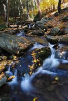 Autumn Waterfall view photo