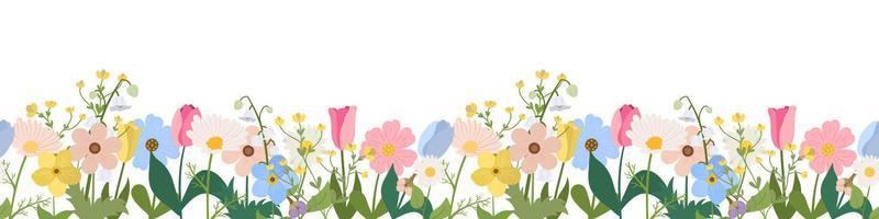 Spring or summer seamless horizontal border with blooming flowers on white background. Multicolored garden flowers in row. Banner with floral pattern. vector