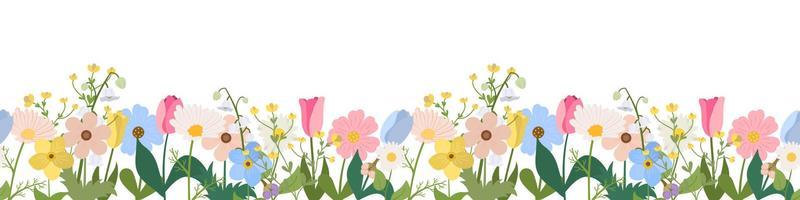 Spring or summer seamless horizontal border with blooming flowers on white background. Multicolored garden flowers in row. Banner with floral pattern.