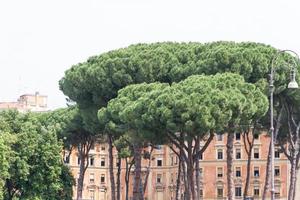 Roma, Italia. detalles arquitectónicos típicos de la ciudad vieja foto