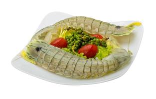 Raw Spiny lobster photo