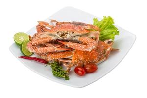 Boiled blue crab photo