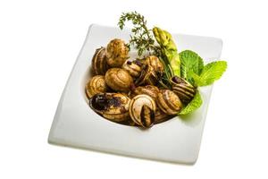 Escargot with asparagus, rosemary, thymus and tomato photo