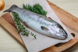 Raw trout on a board photo