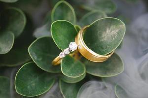 wedding rings,vintage picture style - Image photo