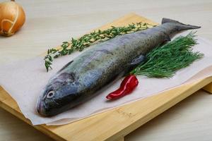 Raw trout on a board photo