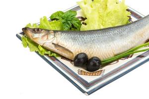 Salted Herring in dish photo